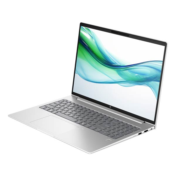 HP ProBook 460 G11 Notebook A23BCEA  thumbnail 2